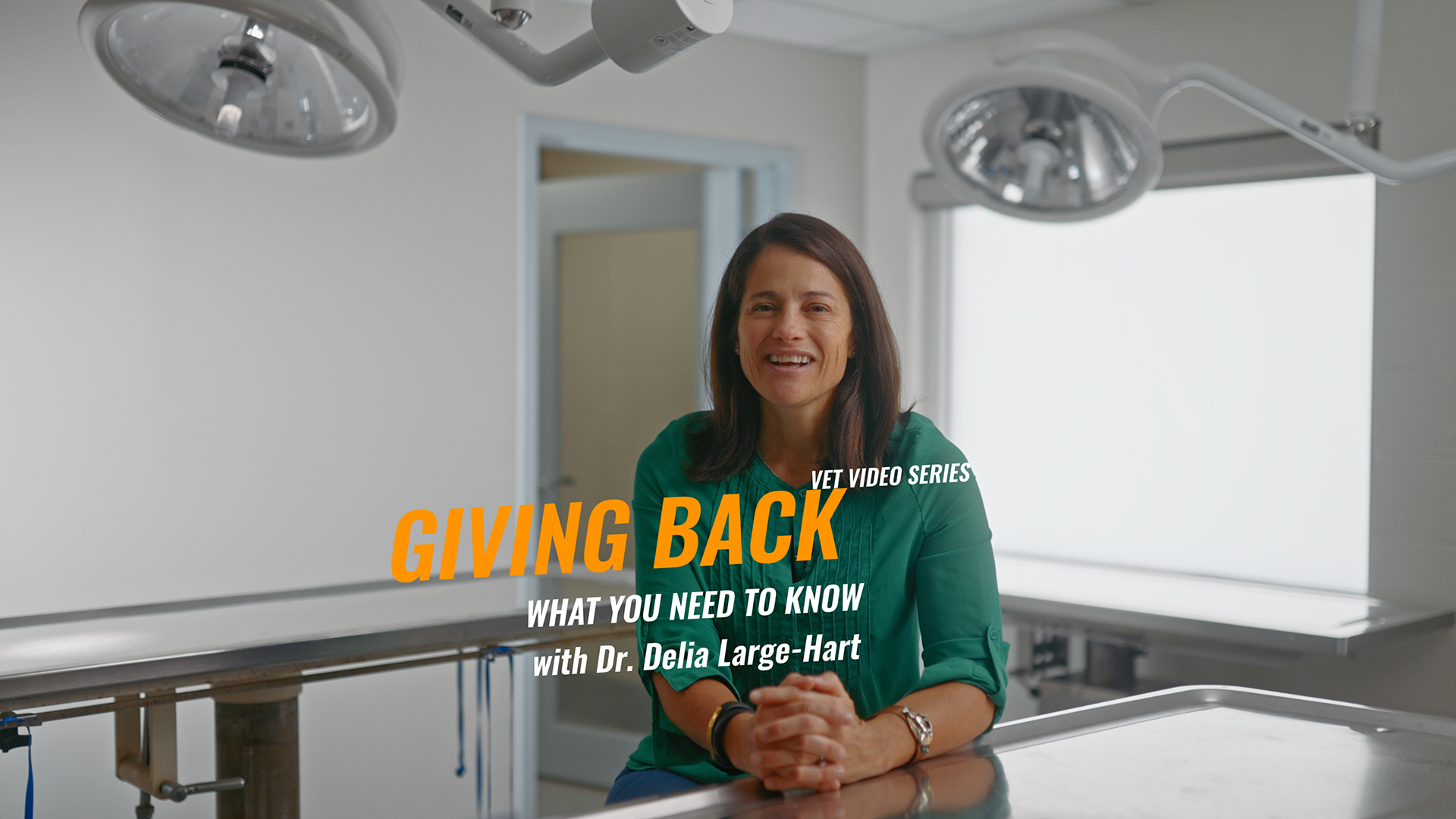 Giving Back: Why Volunteering Matters in Veterinary Medicine