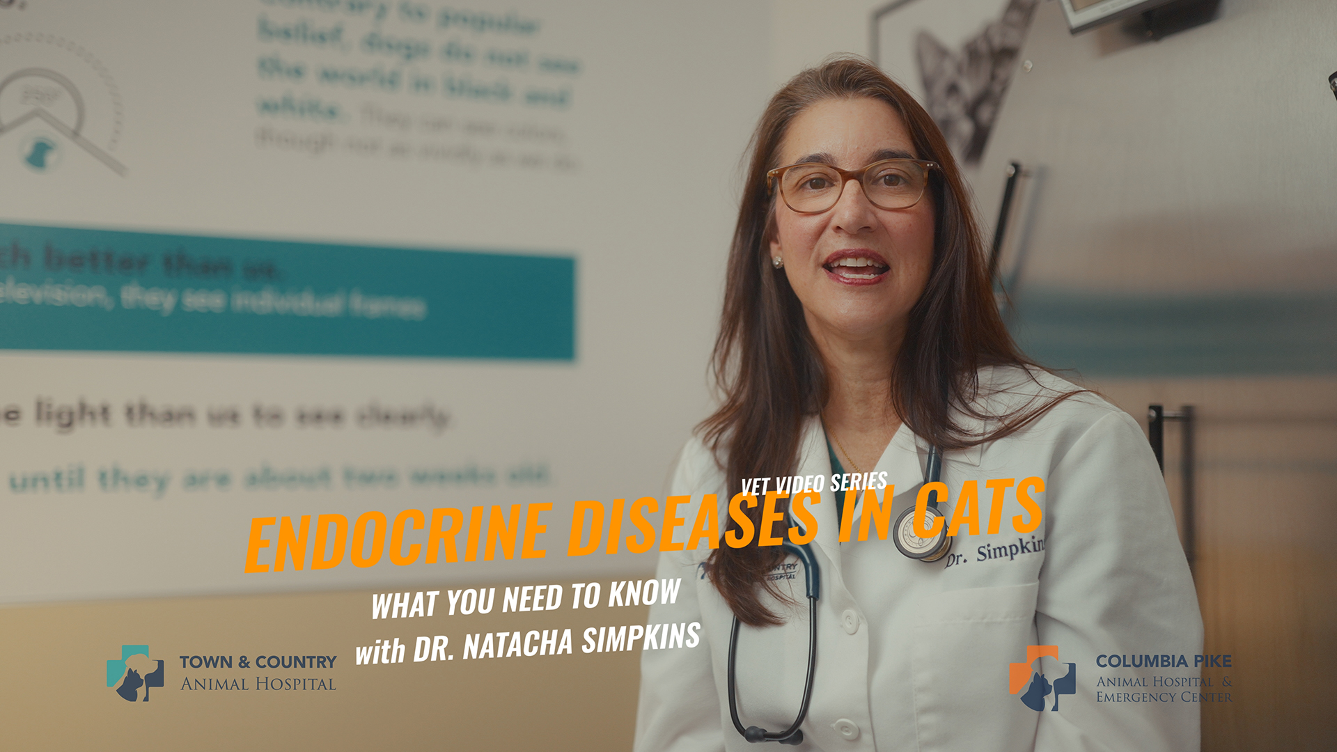 Understanding Endocrine Diseases in Cats: Hyperthyroidism and Diabetes