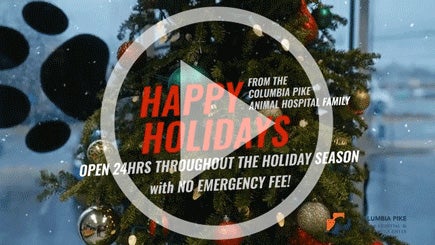 A Holiday Message From Our Family to Yours