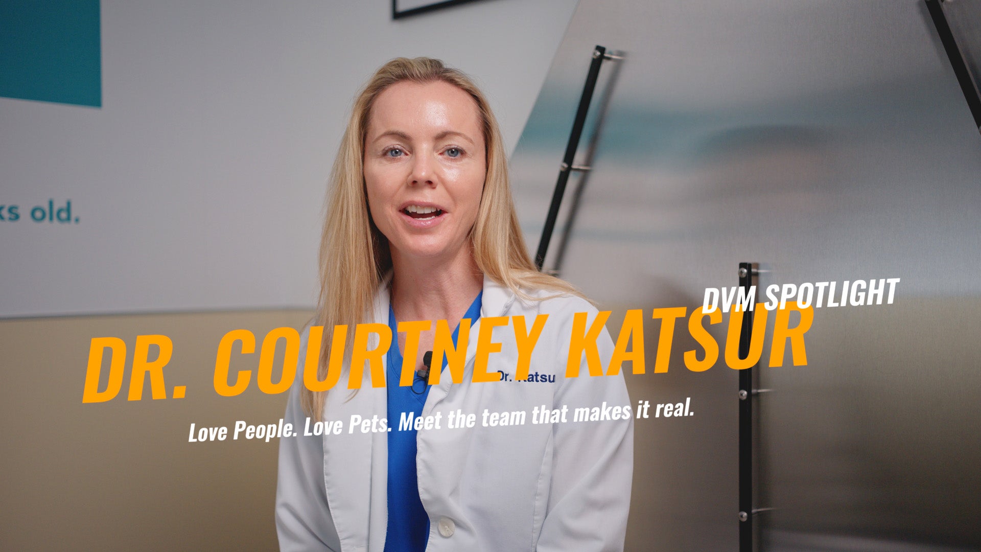 Fear Free Veterinary Care in Fairfax, VA | A Better Experience for Your Pet