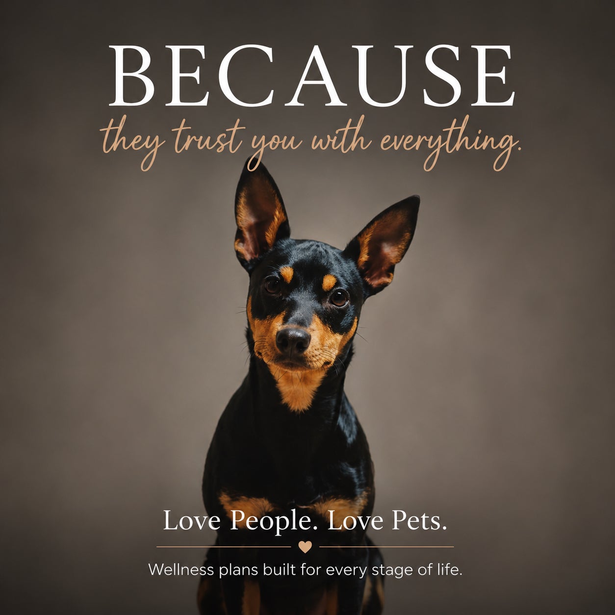 Trupanion and Your Wellness Plan: Coverage When Every Minute Matters