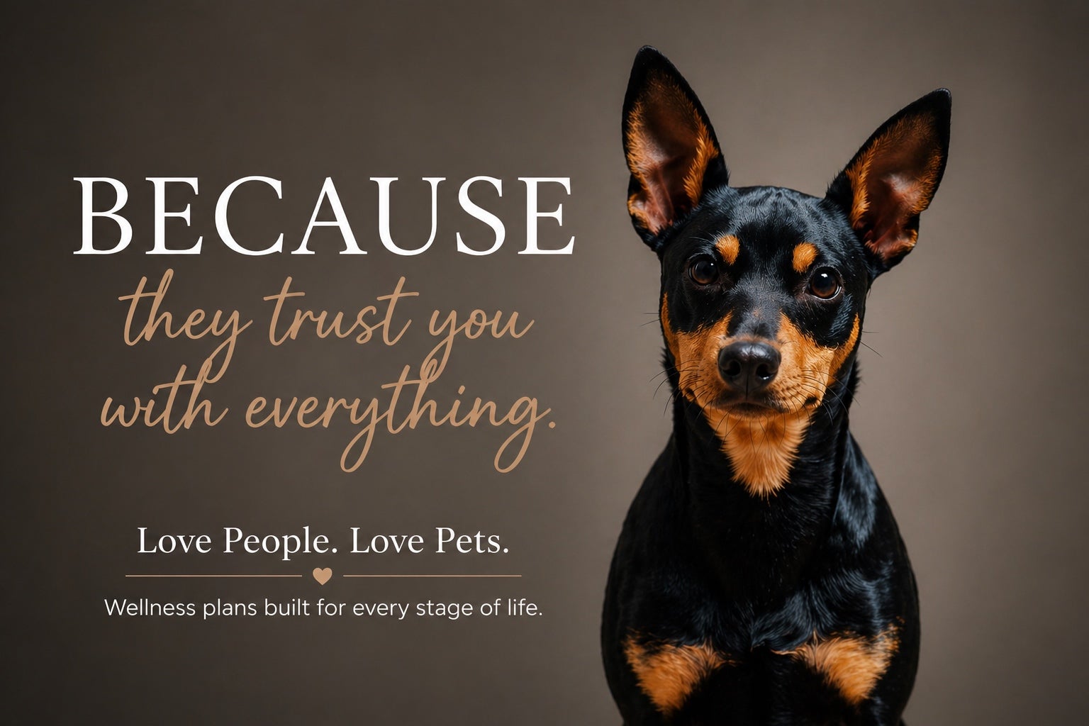 A small black and tan dog on the right side of a horizontal banner with text reading: Because they trust you with everything. Love People. Love Pets. Wellness plans built for every stage of life.