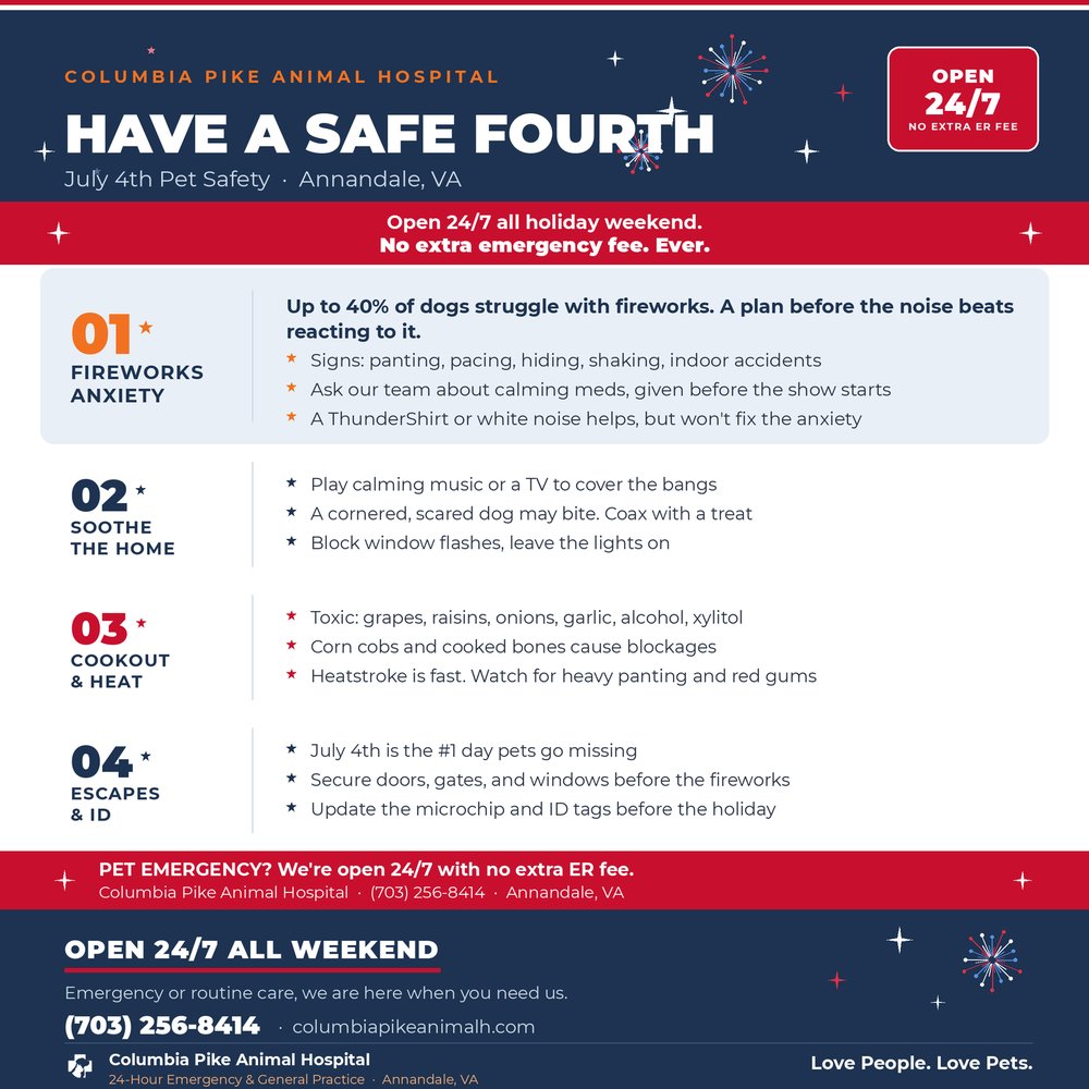 Have a Safe Fourth: July 4th Pet Safety Tips from Your Annandale Emergency Vet