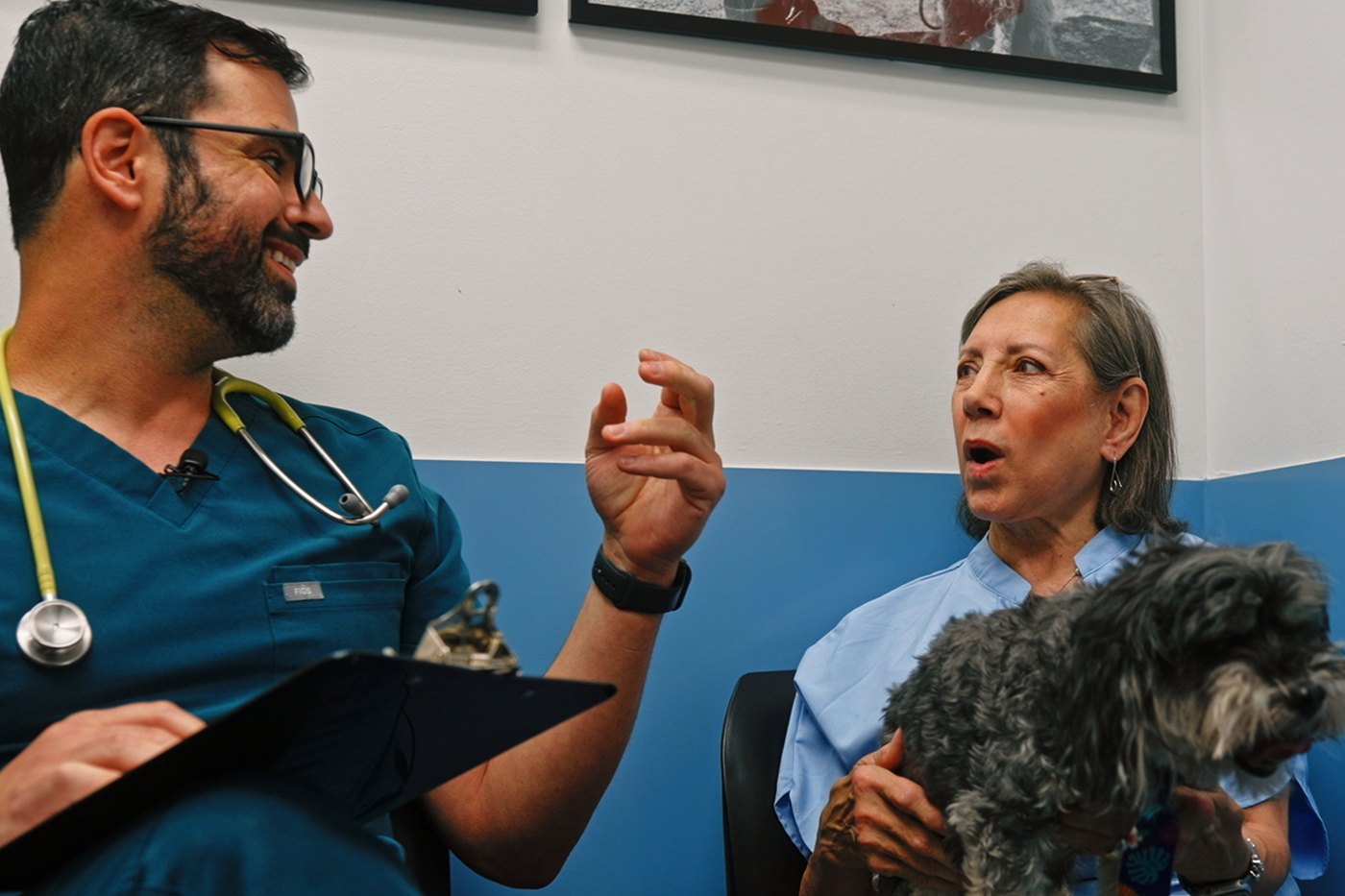 A Columbia Pike veterinarian talking through a treatment plan with a client holding her dog
