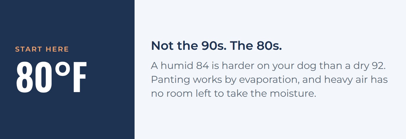 Start paying attention at 80 degrees. A humid 84 is harder on your dog than a dry 92.