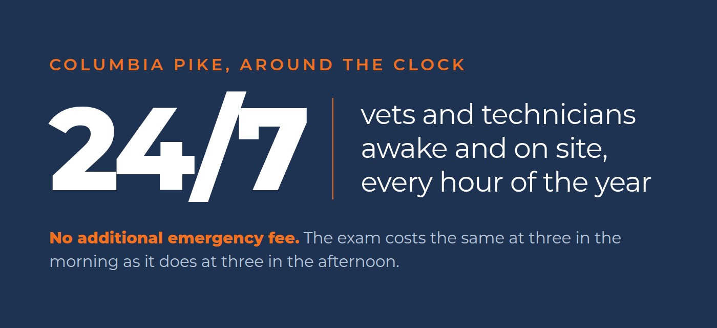 Columbia Pike Animal Hospital is open 24/7 with veterinarians and technicians on site every hour of the year, and no additional emergency fee