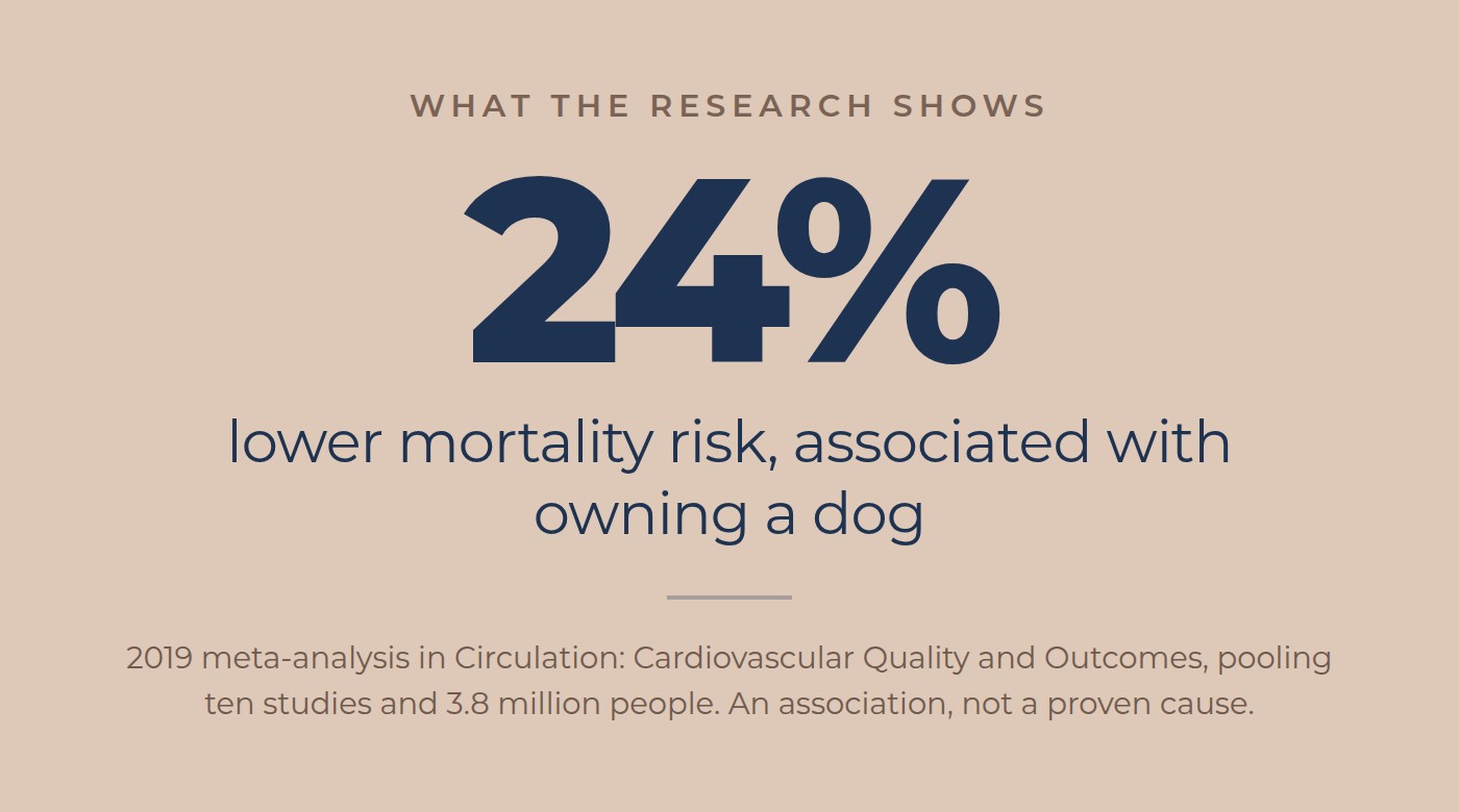 Research stat: 24 percent lower mortality risk associated with owning a dog, from a 2019 meta-analysis of ten studies and 3.8 million people