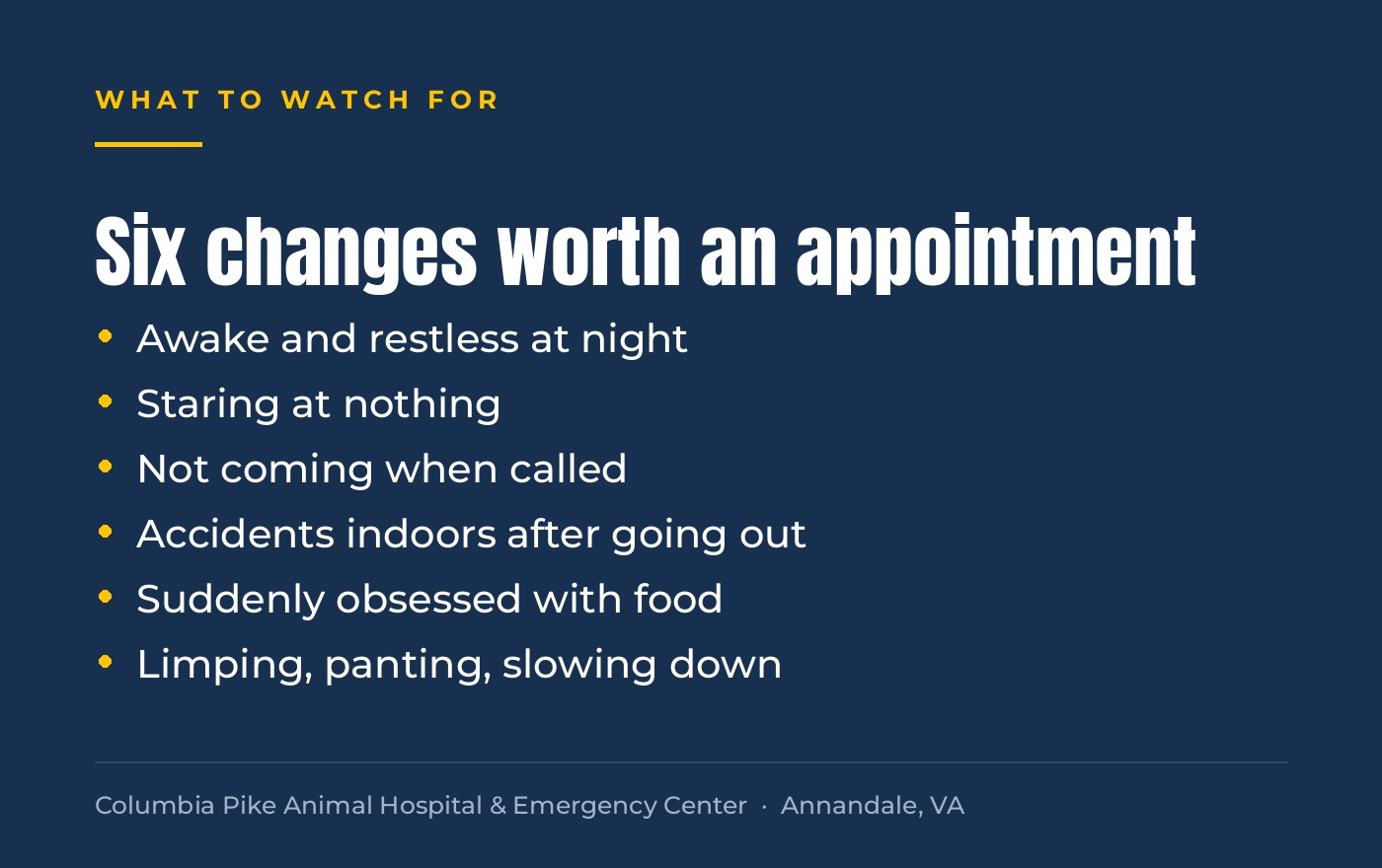 Six behavior changes in senior dogs worth an appointment
