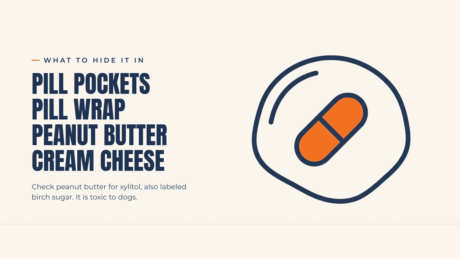 Infographic: what to hide a dog's pill in, including pill pockets, pill wrap, peanut butter, and cream cheese, with a xylitol warning