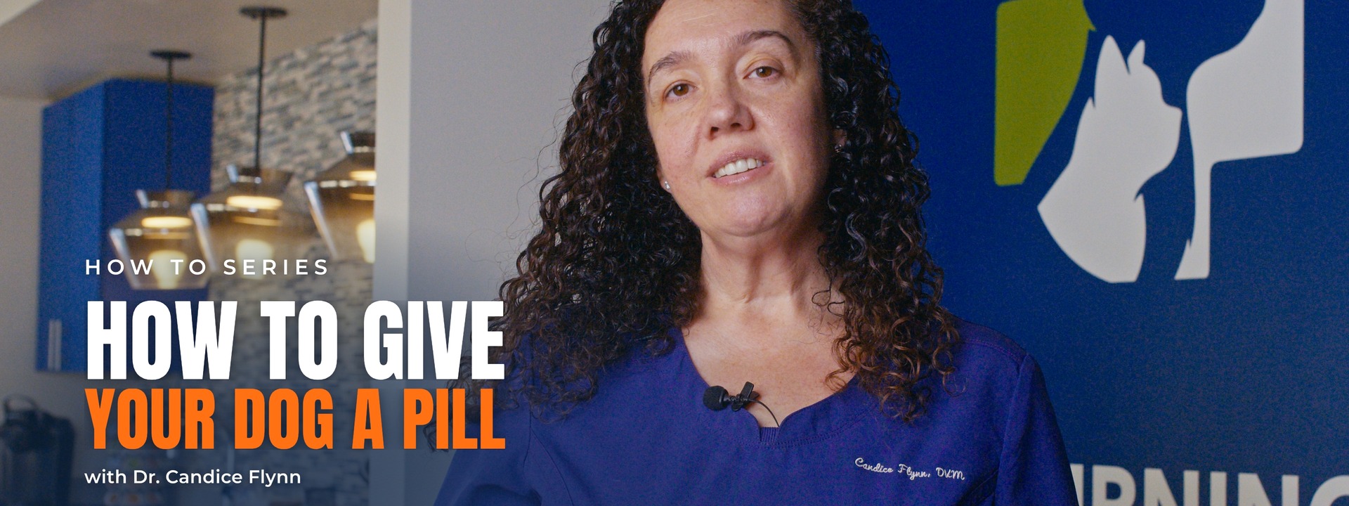Dr. Candice Flynn demonstrating how to give a dog a pill, How to Series title card