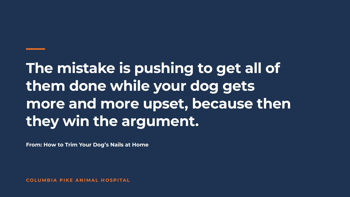 Pull quote: the mistake is pushing to get all of them done while your dog gets more and more upset, because then they win the argument