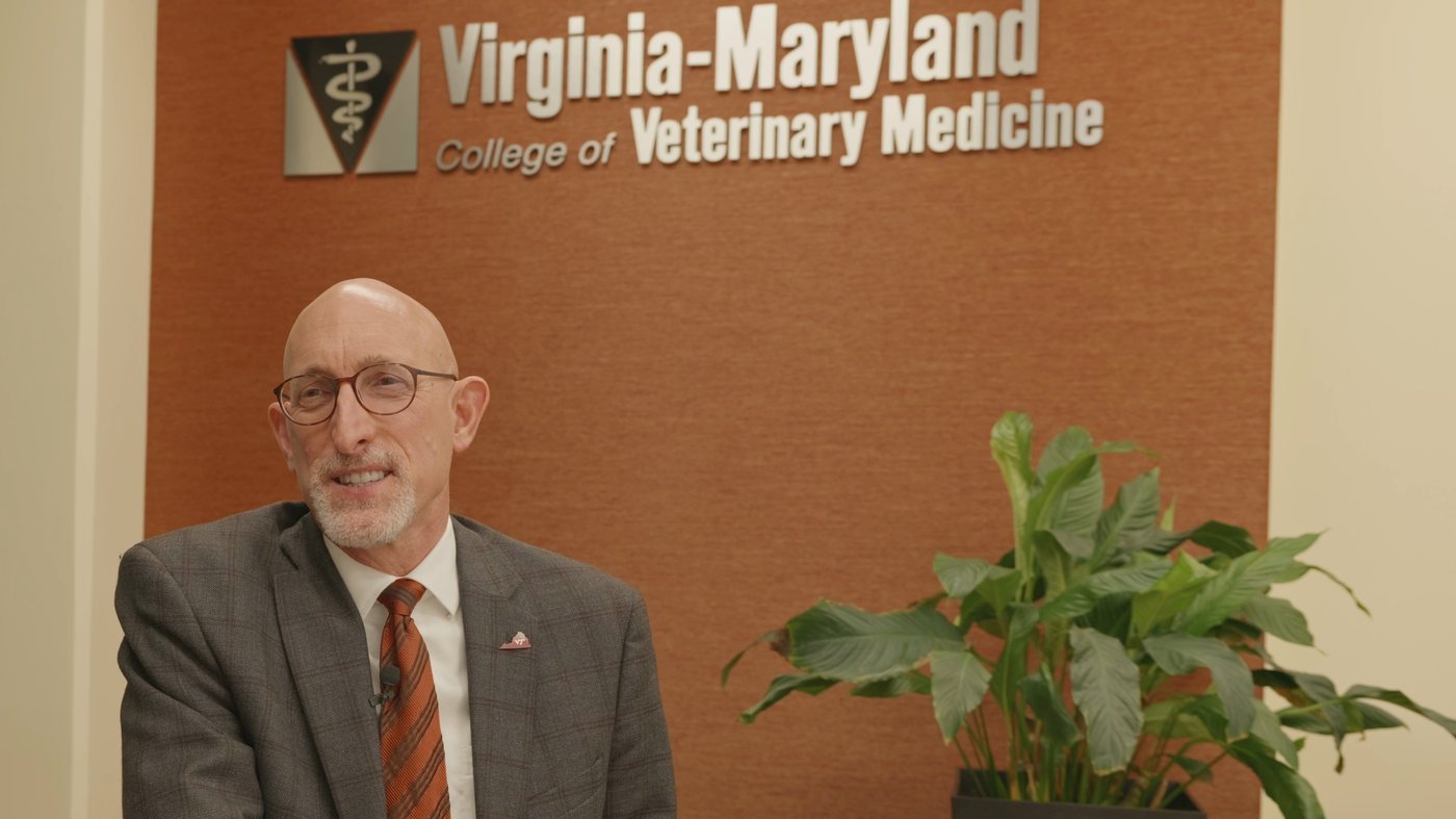 How Long Does It Take to Become a Veterinary Specialist?
