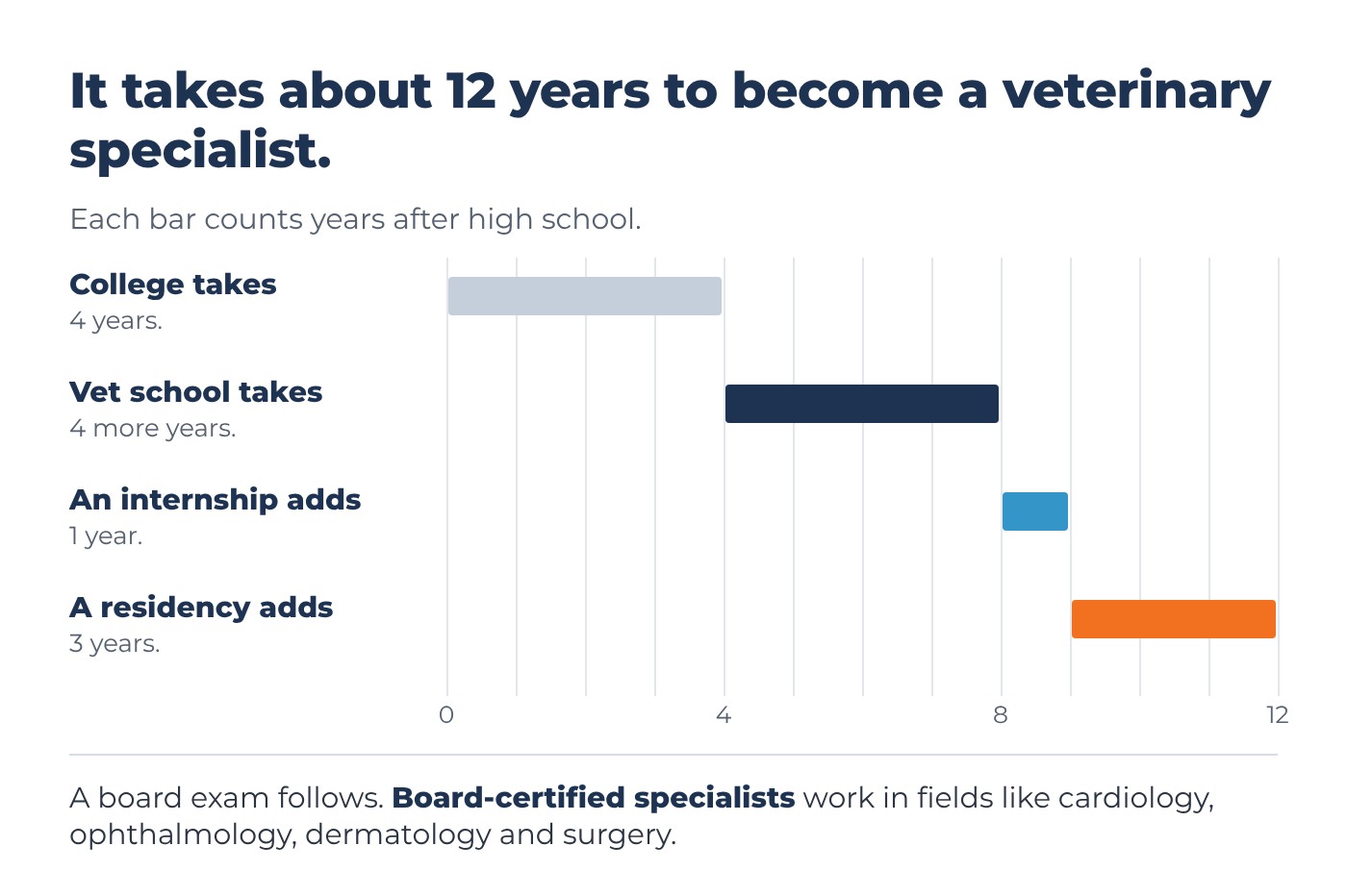 It takes about 12 years to become a veterinary specialist: college takes 4 years, vet school takes 4 more, an internship adds 1 year and a residency adds 3, then a board exam.