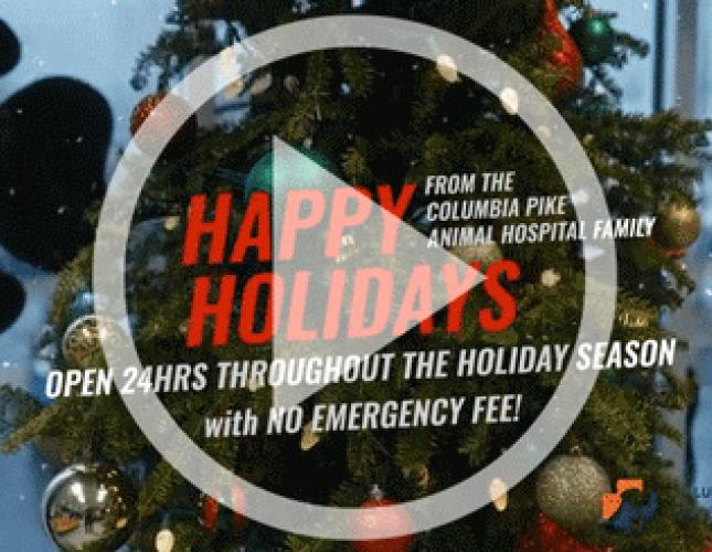 A Holiday Message From Our Family to Yours