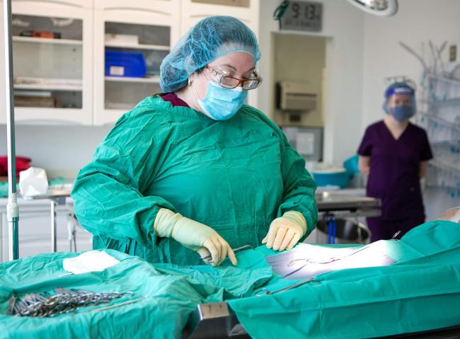 Surgery