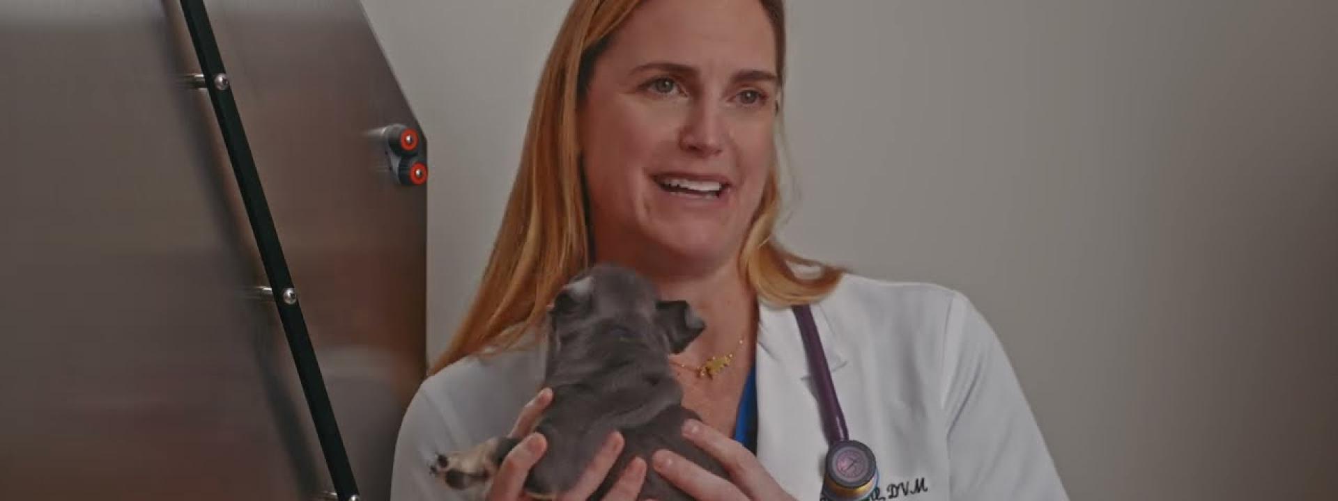 Dr. Jacque Stahl holding her French bulldog puppy, Evie